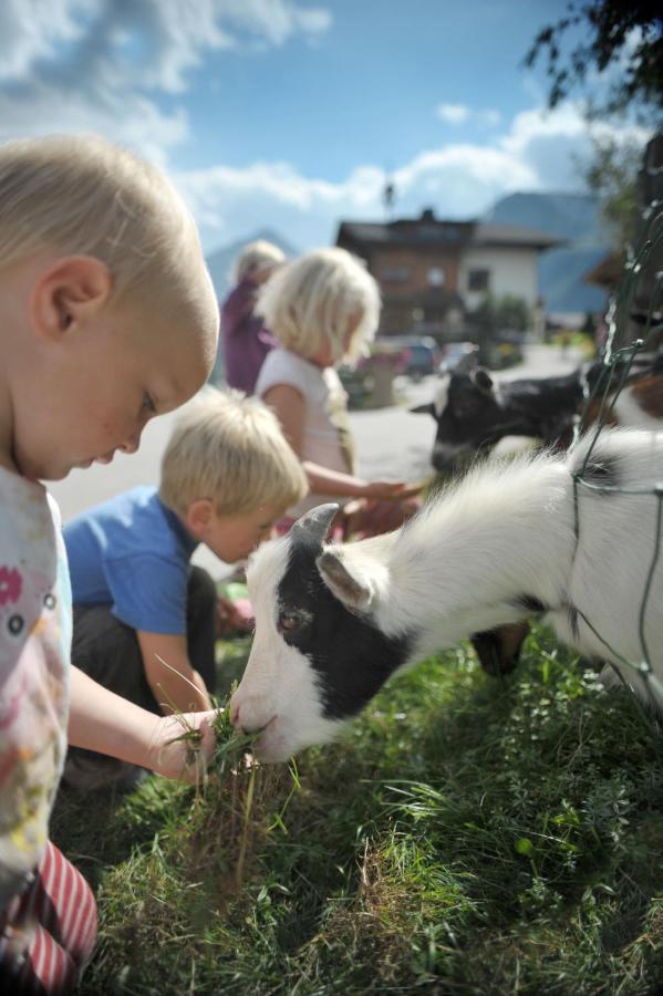 Willa Hocheggerhof - Urlaub Am Bauernhof Schladming Pokój zdjęcie